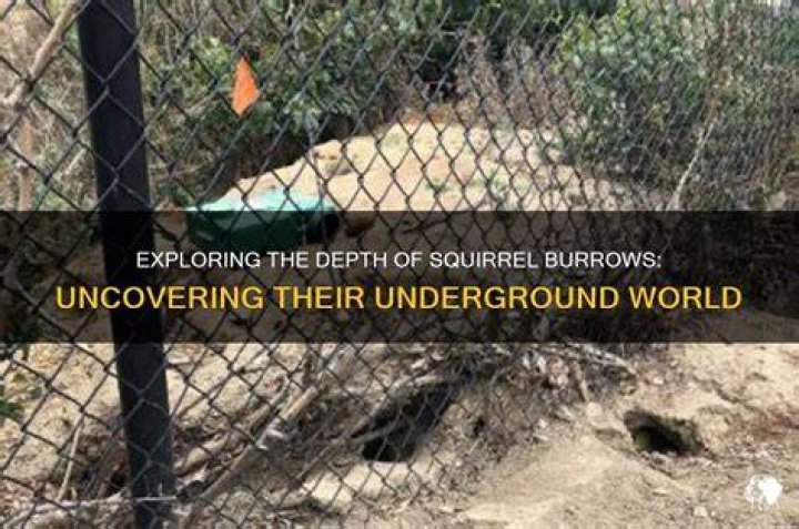 Uncovering The Depth Of Their Love