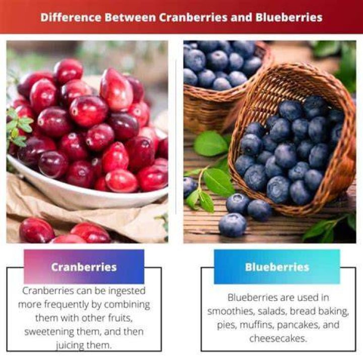 Understanding The Relationship Between Blueberries And Heartburn