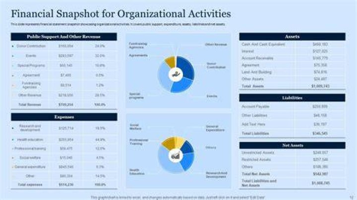 Unlock Financial Clarity: Cynthia's Financial Snapshot For Her Enterprise