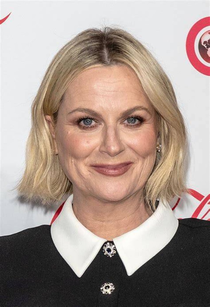 Unlocking Amy Poehler's Pregnancy Journey: Insights And Discoveries