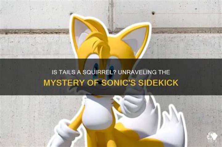 Unraveling The World Of Tails Sonic: The Beloved Sidekick