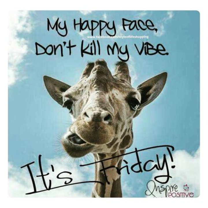 Untitled Happy friday humour, Its friday quotes, Friday humor