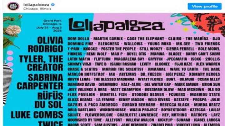 Unveil The Age Limit Enigma: Unraveling Lollapalooza's Attendance Policy
