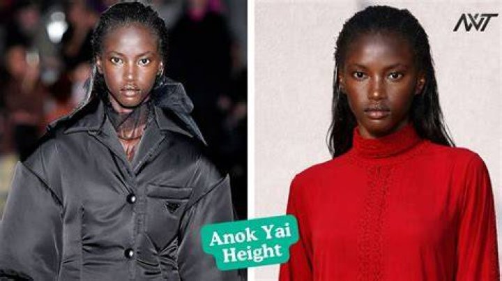 Unveiling The Allure Of Anok Yai: Age And Beyond