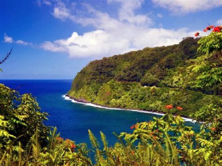 Unveiling The Allure: The World's Most Enchanting Beauty