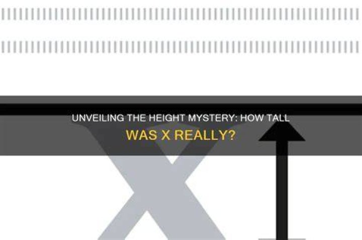 Unveiling The Mystery: How Tall Is Hamza?