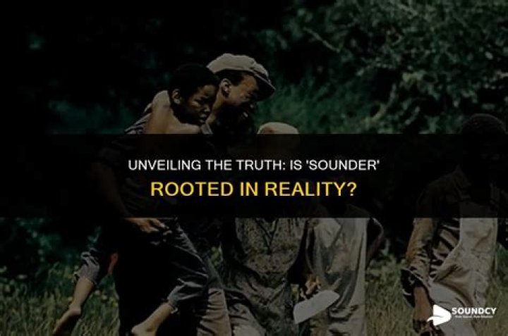Unveiling The Truth: Is "Plane" Rooted In Reality?