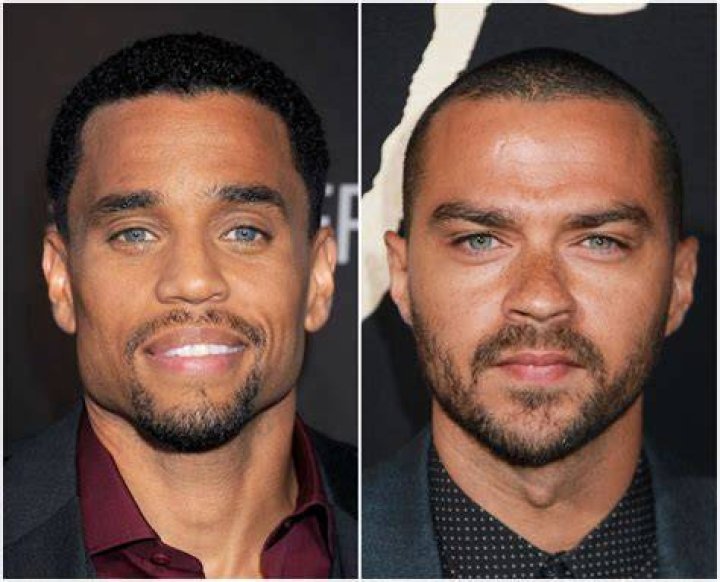 Unveiling The Truth: Michael Ealy And Jesse Williams: Twin Brothers Or Not?