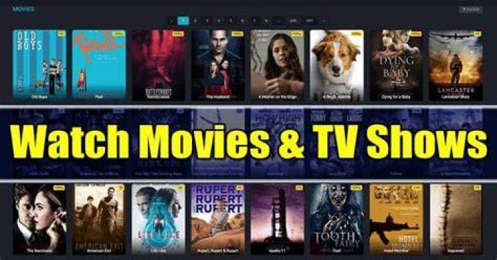 Watch Free Movies And TV Shows On Flixtorz