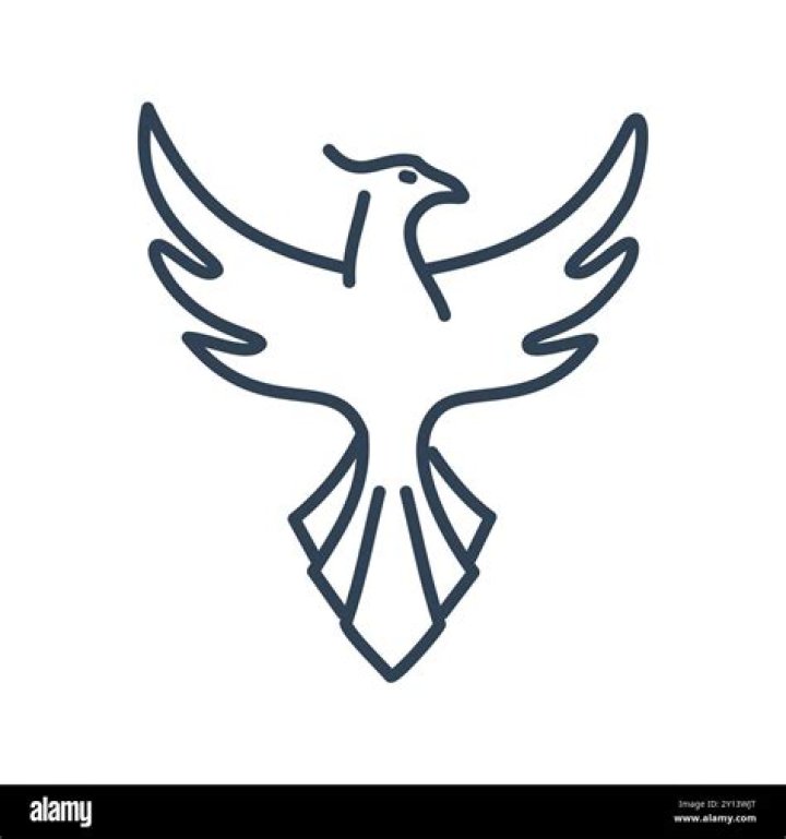 What bird is a symbol of bad luck? [2022] 🐬
