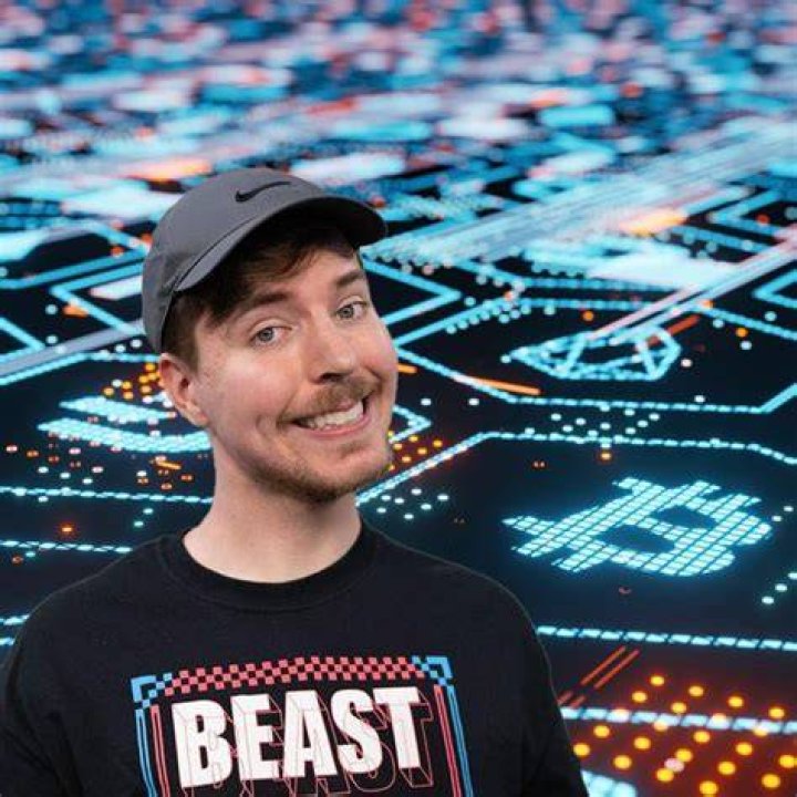 What We Know About MrBeast And Thea Booysen's Relationship