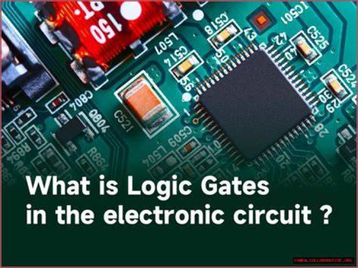Where Logic Was Born: Tracing Its Origins