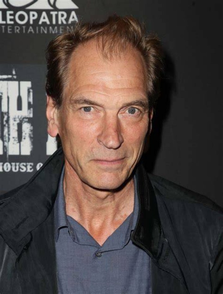 Who Is Julian Sands' Wife? More about Her Life