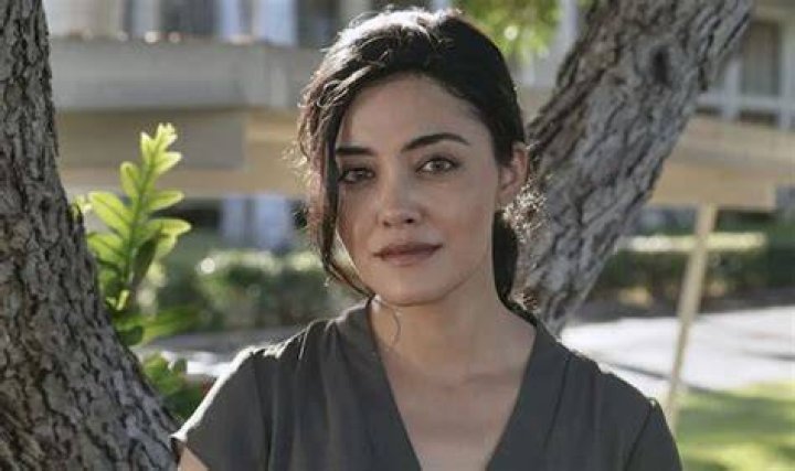Yasmine Al Bustami: Exploring Her Age And Career Milestones