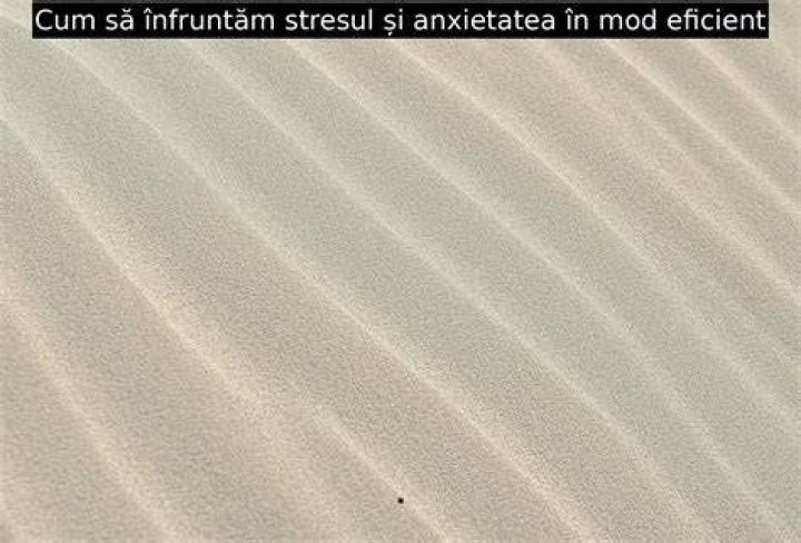 În mod eficient Manta mugur pod youth of the nation lyrics recurs miam