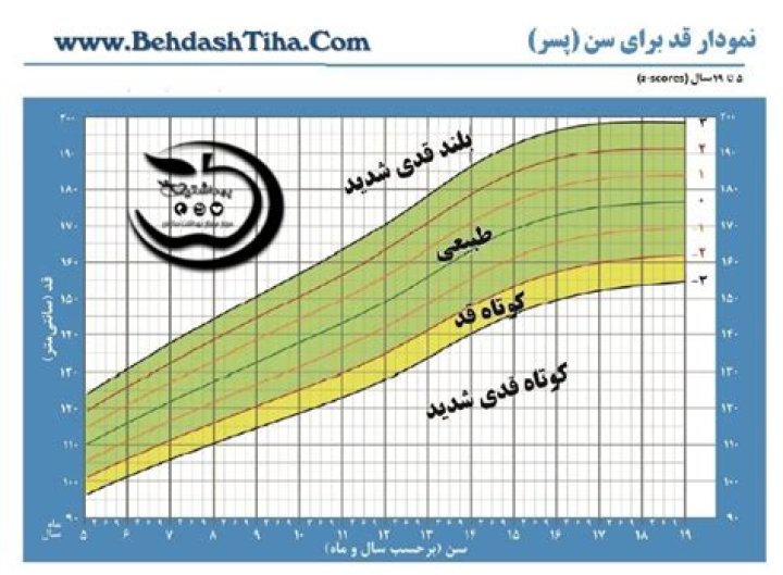 رایلی رید قد, وزن, سن