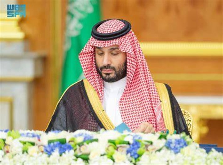 ولی عہد محمد بن سلمان کے بارے میں یہ ضرور پڑھیے ہم سب